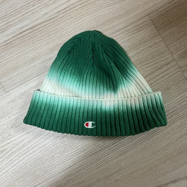 챔피온 타이다이 비니