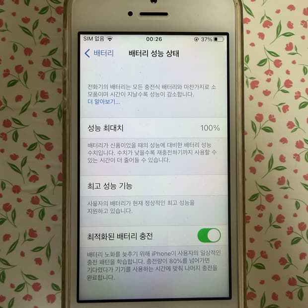 아이폰 se1 배터리성능 100 128기가