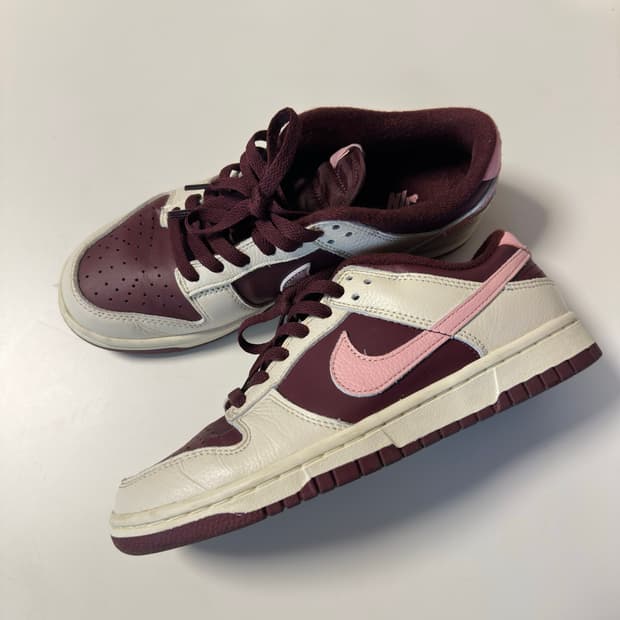 Nike Dunk Low Retro Sneakers 245