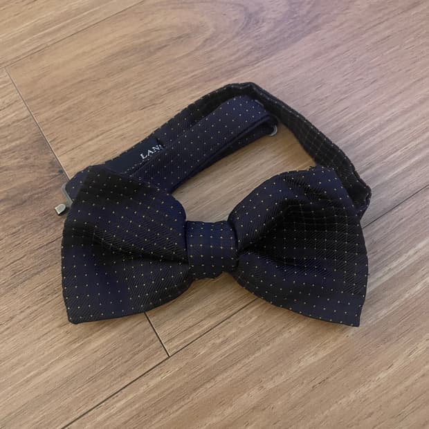 란스미어 보타이