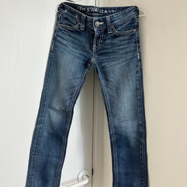 리바이스 스키니 Levi's skinny jeans 프리미엄 빈티지 데님