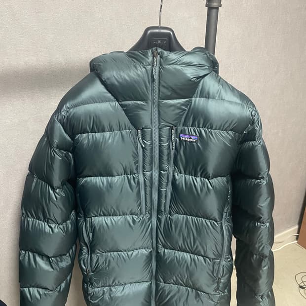 파타고니아 피츠로이 다운 패딩 누보그린 L