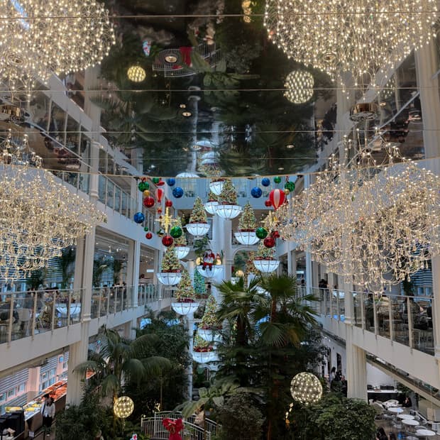 마마사리 컬렉션 무드 블랙(48사이즈) 삽니다