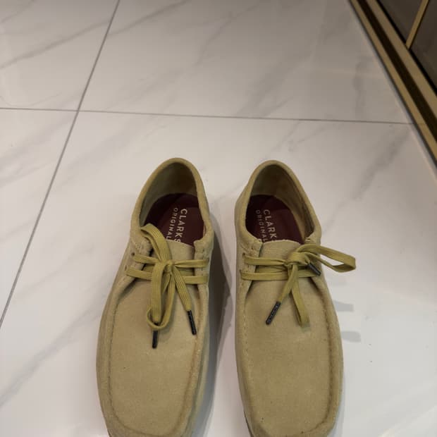 [270] 클락스 왈라비 메이플