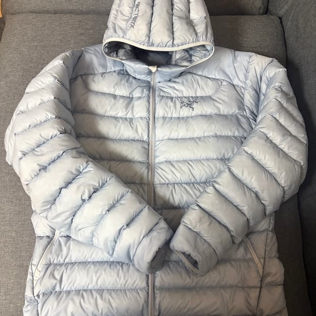 [L] 아크테릭스 세륨 후디 루센트