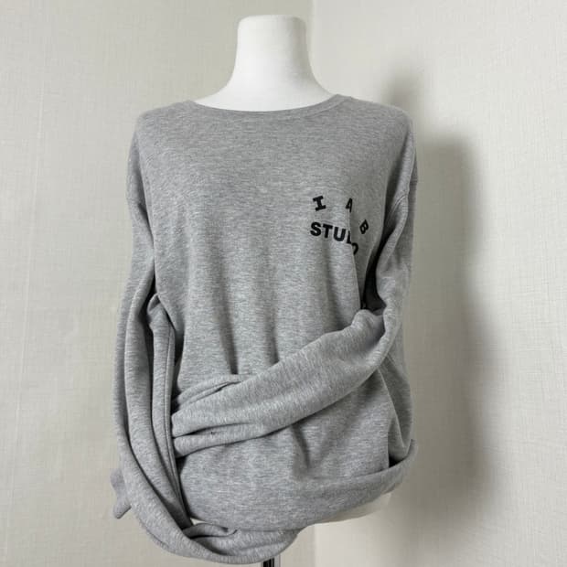 아이앱 그레이 롱슬리브