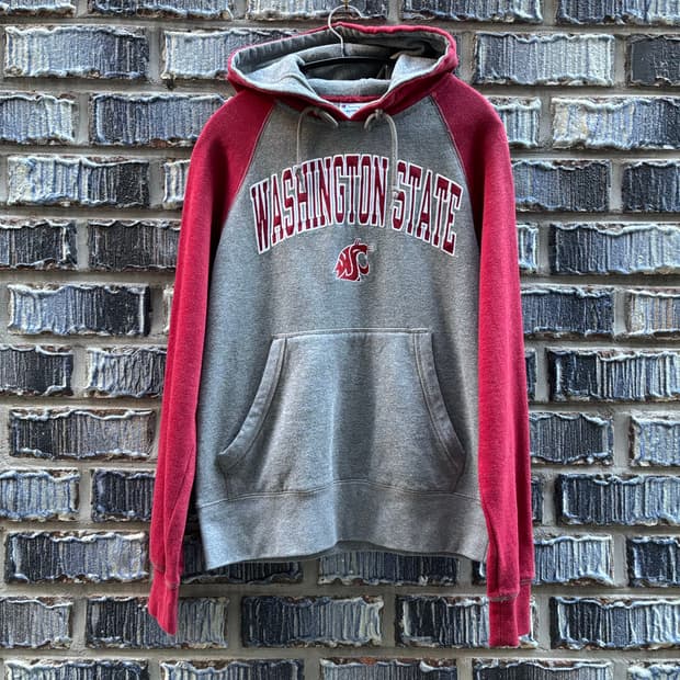 00s 챔피온 워싱턴 후디