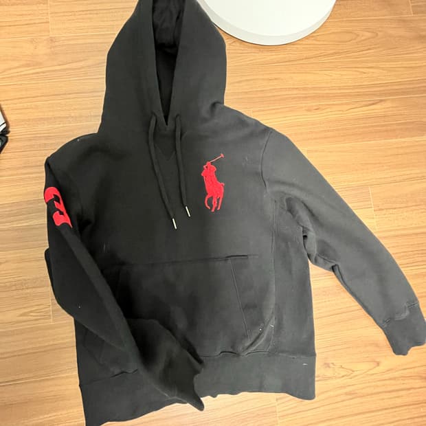 폴로 빅 포니 후드티