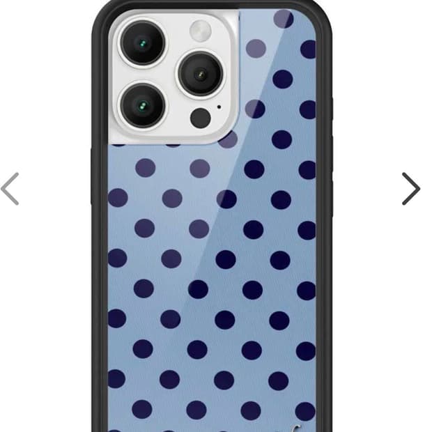 와일드플라워 16pro 폴카닷 case