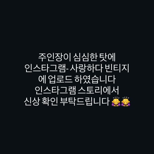 사랑하다 빈티지 빅포니 신상 공지!!