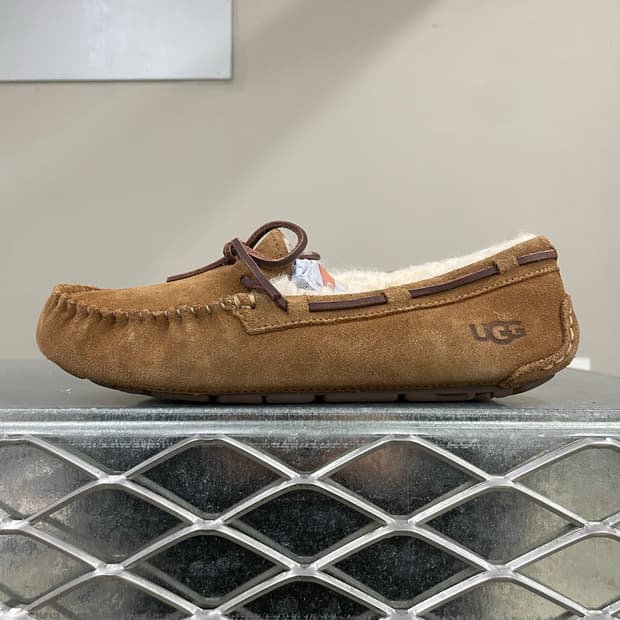 어그 다코타 체스트넛 240