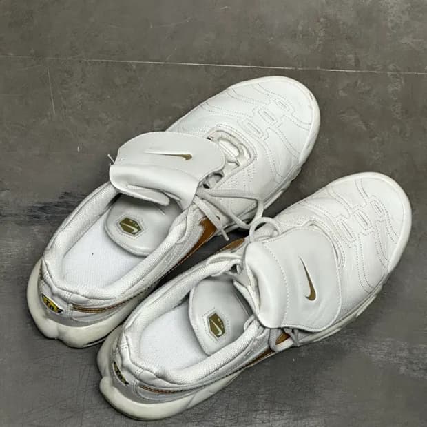 나이키 에어맥스 플러스 TNPO 팬텀 메탈릭 골드