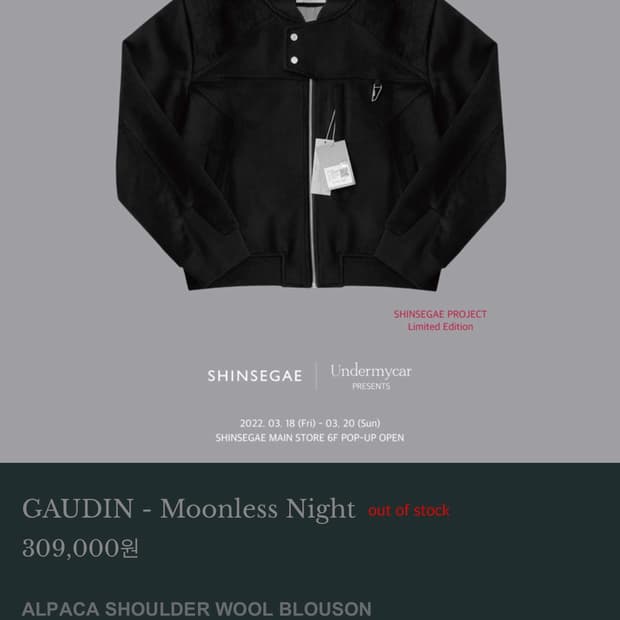 언더마이카 가우딘 (2)