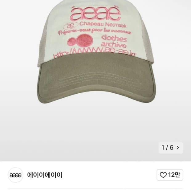 aeae 에이이에이이 웹 로고 매쉬 캡 