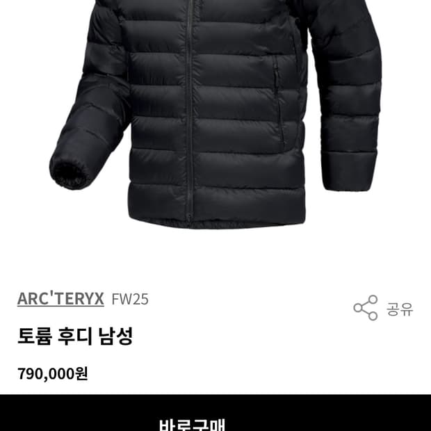 아크테릭스 토륨 2xl