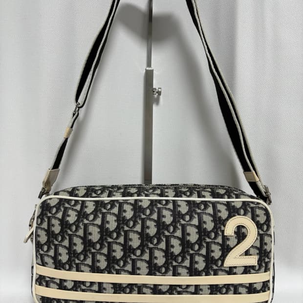 디올 오블리크 트로터백