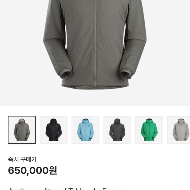 아크테릭스 아톰 lt 후디