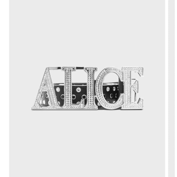 alice hollywood belt 앨리스 할리우드 벨트
