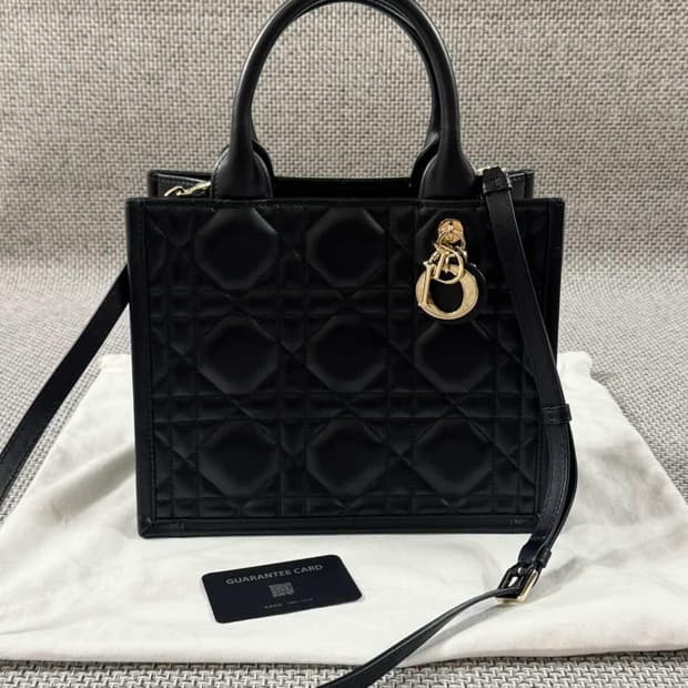 디올 북토트 스몰 까나쥬