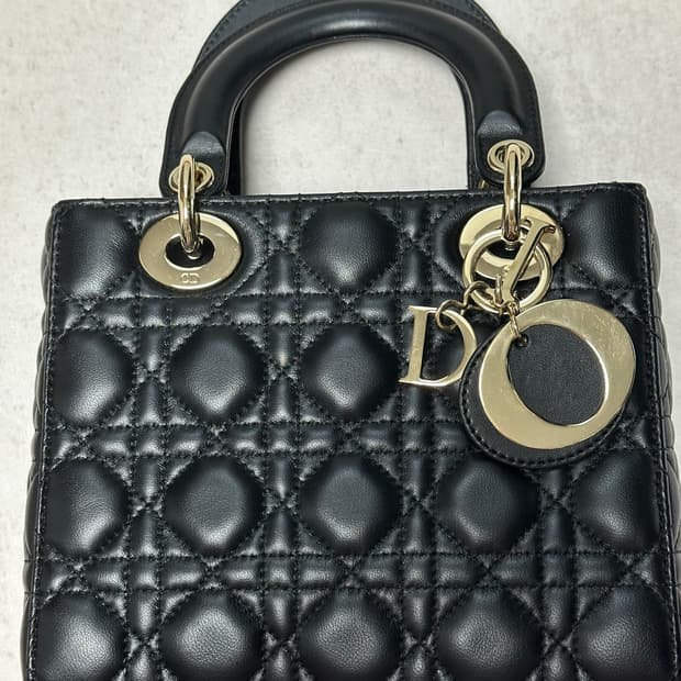 디올 레이디백 스몰 