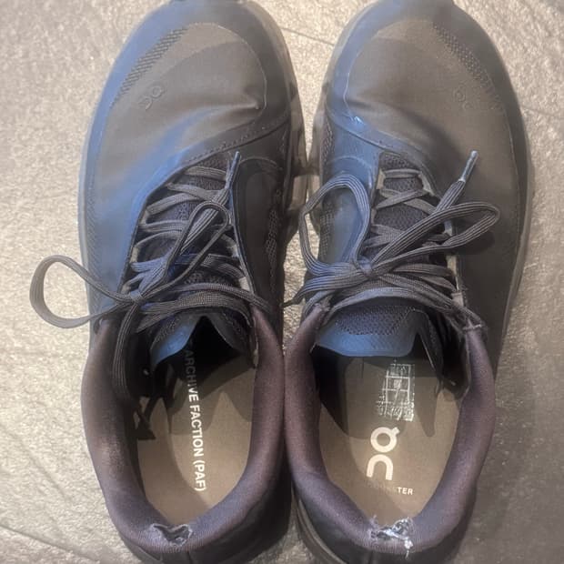 온러닝 포스트아카이브팩션 온파프 쏜브라운