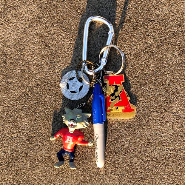 🎁Someone's Keyring #328