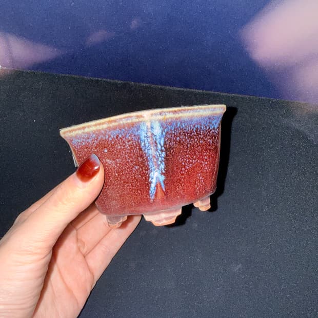 분재 화분-국산 예준 9cm x 5cm (22)