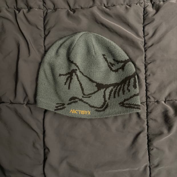 아크테릭스 버드 헤드 토크 다크 매직 비니