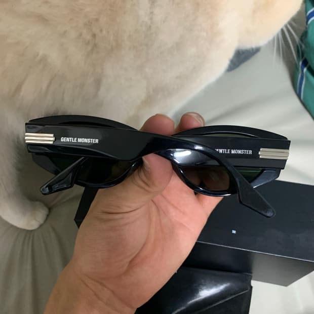 젠틀몬스터 선글라스