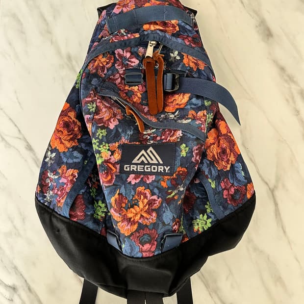 그레고리 루미너스 파인데이 백팩