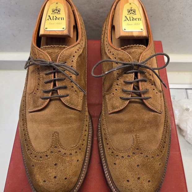 알든(Alden) 9794 스웨이드 윕팁 9.5