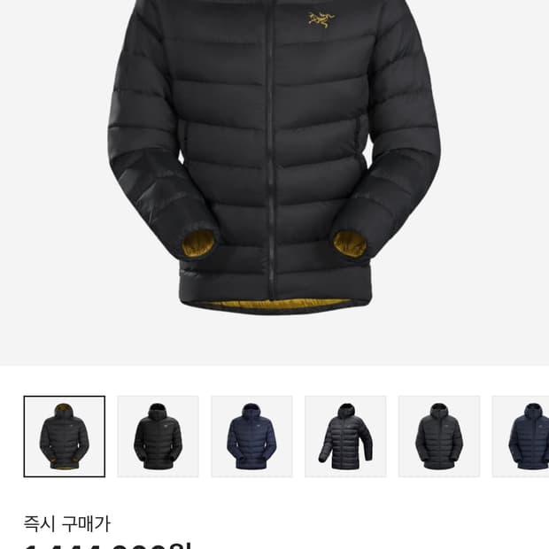 아크테릭스 토륨 24K L