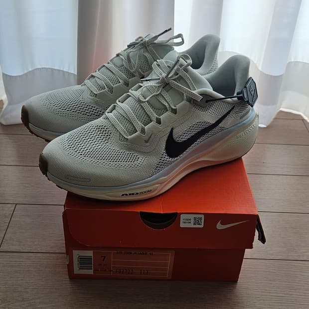 나이키 페가수스41 250  