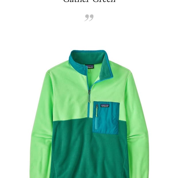 파타고니아 마이크로미디