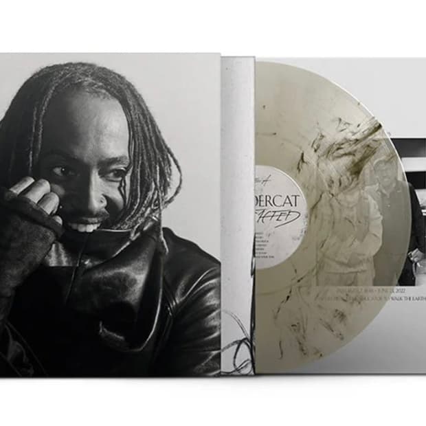 썬더캣 thundercat- distracted 스모크 마블 lp 바이닐