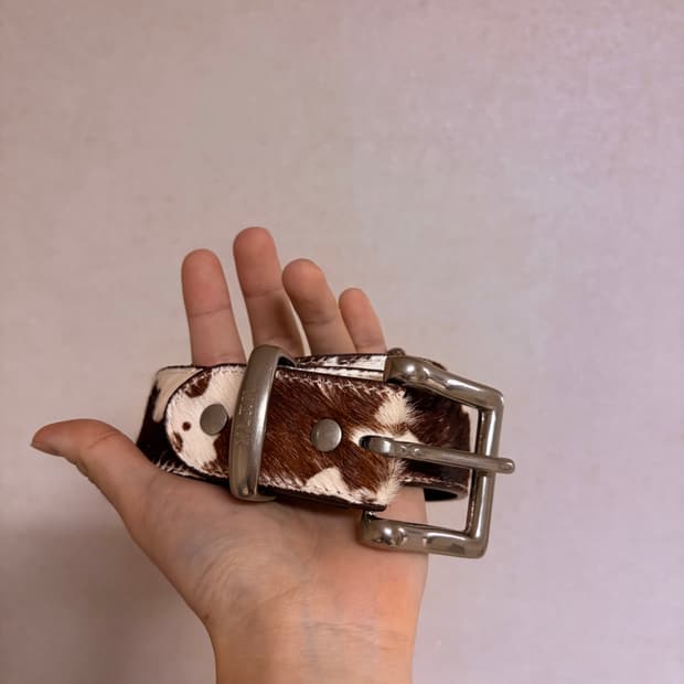 Xlim ep.8 01 송치 브라운 벨트