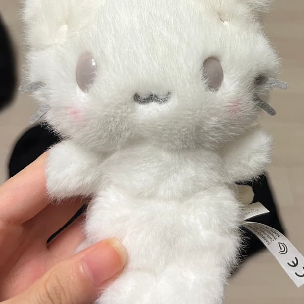 마슈마로 시로후와 인형