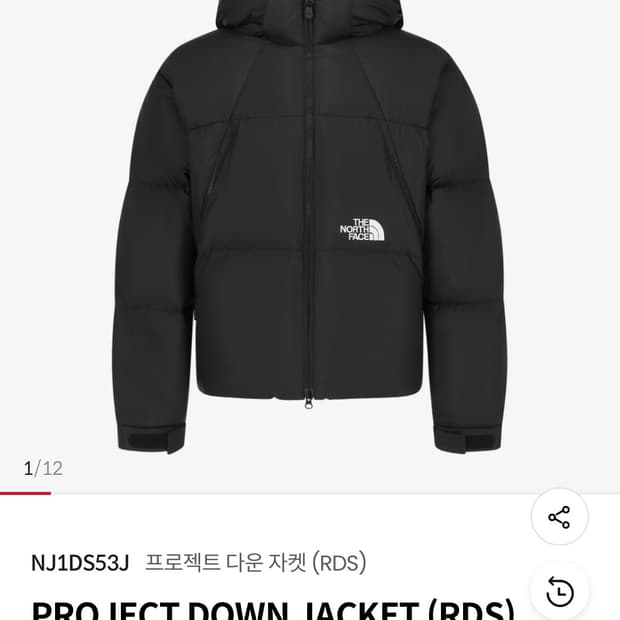 노스페이스 프로젝트 다운 자켓 M