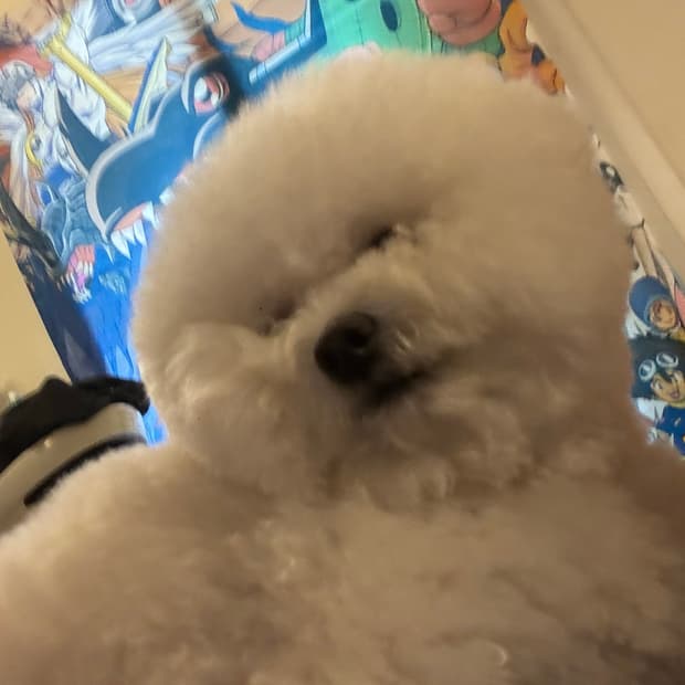 카결창