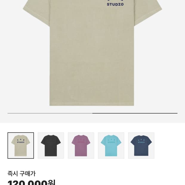 아이앱 피그먼트 반팔티