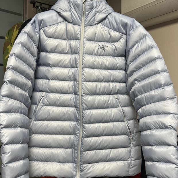 아크테릭스 세륨 후디 루센트 L