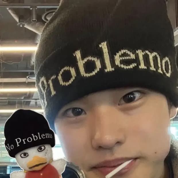 아리스 비니 aries noproblemo 비니 라이즈 소희 비니