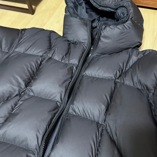 팔라스 퍼텍스 바라클라바 푸퍼 22fw 패딩 라지(L)