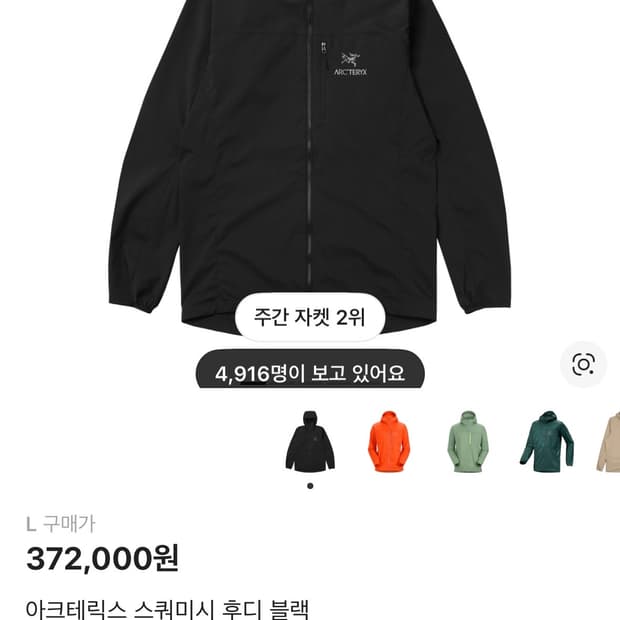 아크테릭스 스쿼미시 블랙 L