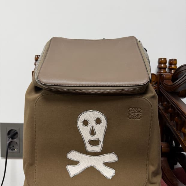 로에베 고야 백팩 해골 자수