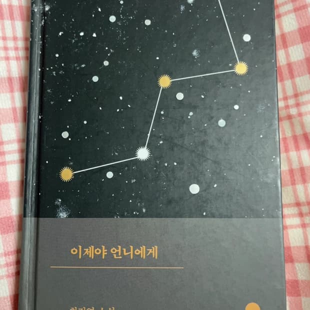 이제야 언니에게 소설 책 소품용 가능