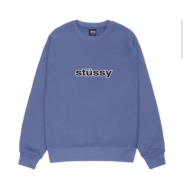Stussy SS 링크 크루넥 스톰