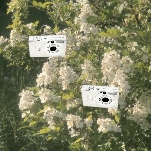 풀박스&프리지아!) Canon IXUS 70 디카 카메라