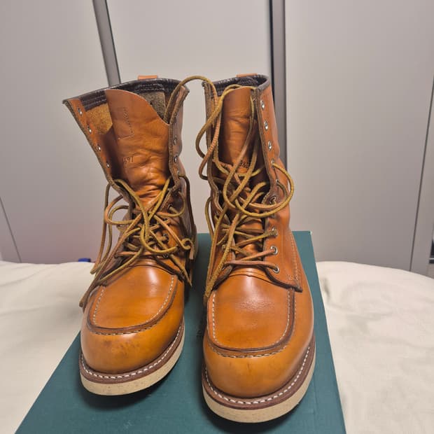 레드윙 아이리쉬세터 9877 판매합니다.