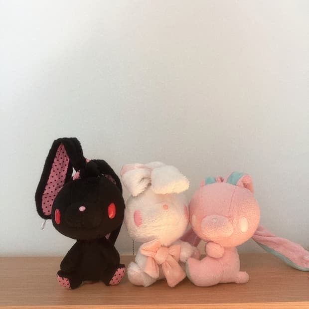 희님 결제